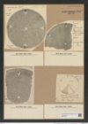 Aulacodiscus margaritaceus Ralfs (de-Toni-Nr.: Genus 182, Species 4515) Zeichnungen Sammlung Grunow Nr. 8089 (NHMW-BOT-W0377421)